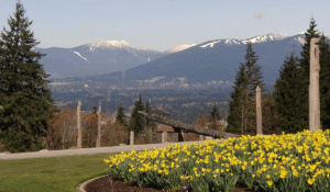 Custom Home Builder in Burnaby BC